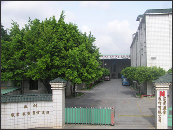 Rubber Sheet
